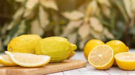 14 Varieties Of Lemons Explained