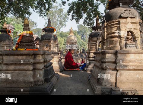 India Bihar Bodhgaya Monk Praying Between Stuapas At The Mahabodhi