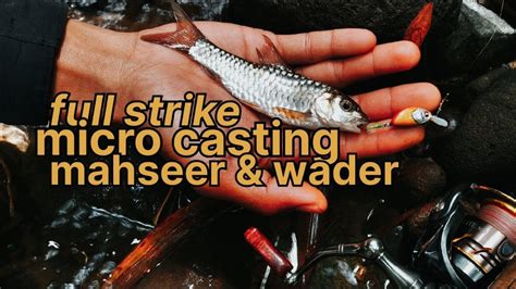 Casting Wader Gunung Menggunakan Umpan Micro Paling Killer Terbukti