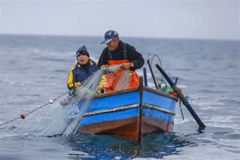 El Sector M S Beneficiado Con El Acuerdo De Escaz Ser A La Pesca