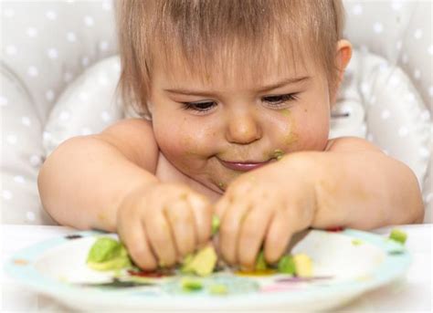 Cómo preparar AGUACATE para BEBÉS 8 recetas fáciles