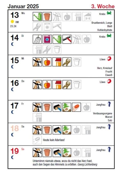 Das Mondjahr Der Farbige Taschenkalender Buchkalender