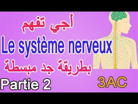 Le système nerveux motricité volontaire et involontaire SVT 3AC