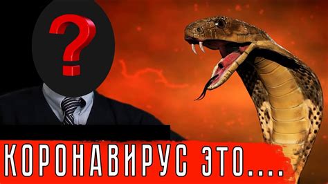 Вирус - YouTube