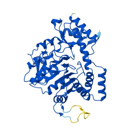 Rcsb Pdb Af Afb Ezh F Computed Structure Model Of Udp Amino