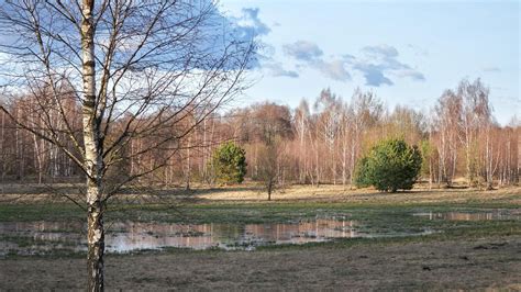 Pogoda Na Dzi Pi Tek S Oneczna I Pogodna Aura Zapanuje