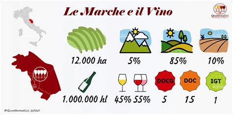 Marche La Guida Al Vino E All Enoturismo Di Quattrocalici