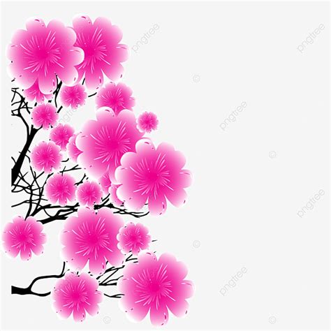 Cherry Blossom Card Vector Art Png Cherry Blossoms Transparent