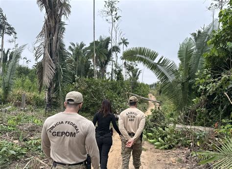 Pf Combate Crimes Na Terra Ind Gena Igarap Lage Em Rond Nia Pol Cia