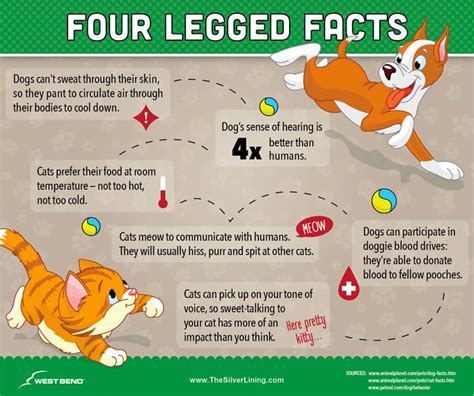 Did you know... Pet fun facts