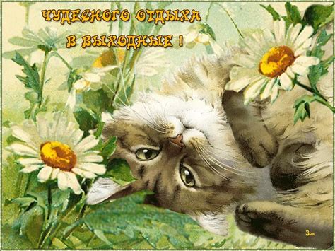 Воскресенье Это Классно Картинки - 60 фото