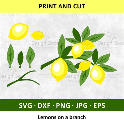 Lemons On A Branch Svg Lemon Cut File Lemon With Leaves Etsy