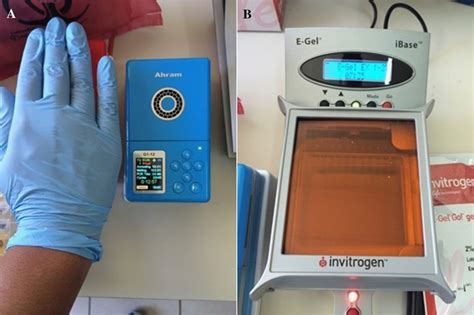 A Image Of The Palm PCR By Ahram Biosystems Seoul Korea B