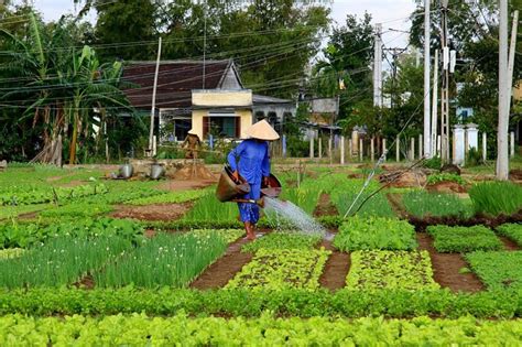 How to Become an Organic Farmer - Kilimo Hai