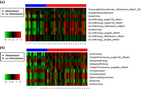 Heat Map Of Top 10 Radiomic Features Download Scientific Diagram