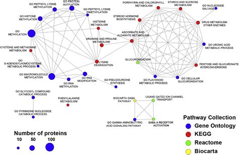 Unique Metabolomic Signature Associated With Hepatorenal Dysfunction