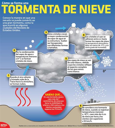 Conoce La Manera En Que Una Nevada Se Puede Convertir En Una Gran