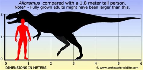 Alioramus Pictures & Facts - The Dinosaur Database