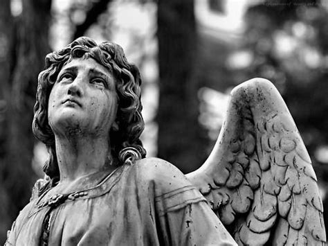 Angel Statue Aesthetic Crying Angel Sad Angel Angel Face Cemetery