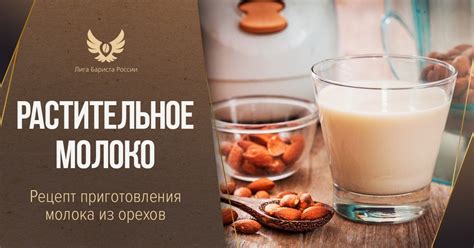 Растительное молоко | Лига Бариста