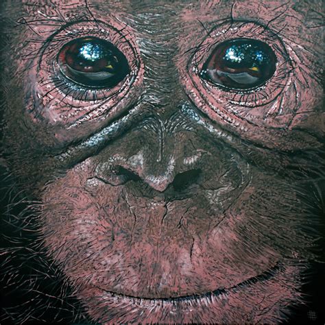 Orangutan - 2016 on Behance