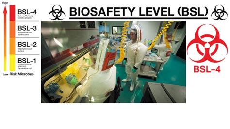 Qu Es El Nivel De Bioseguridad Bsl Mbz Consultor Farma