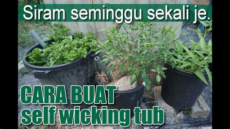 Cara Nak Menanam Pokok Di Rumah Randallzebrivers