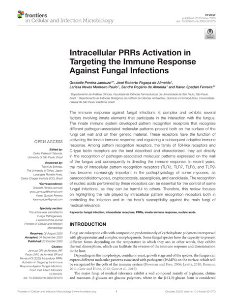 Pdf Intracellular Prrs Activation In Targeting The Immune Response