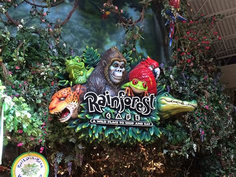 Rainforest Cafe Locations Map