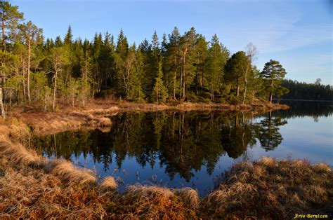 Baggrunde Landskab Skov S Vand Natur Afspejling Gr S Himmel