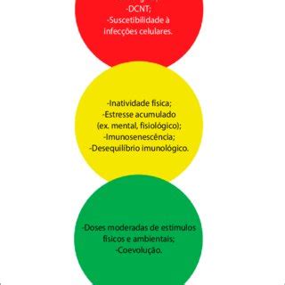 Rela O Entre Inatividade F Sica Dcnt Estresse Imunidade Infec Es