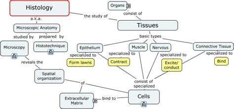 Histology2 What Is Histology