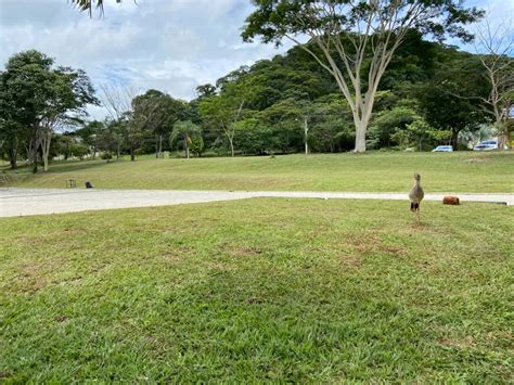 Lote Terreno Na Avenida Floresta Residencial Aldeia Do Vale Em