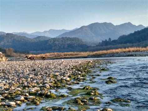 Top Things To Do In Jim Corbett National Park