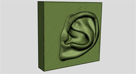 Ear Printable 3d Model 3d Printable Cgtrader