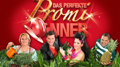 Das Perfekte Promi Dinner Mit Dschungel Stars Stars