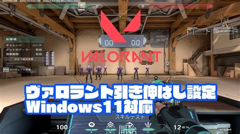 【最新版】windows11対応！引き伸ばし設定のやり方徹底解説！解像度1440×1080 43【valorantヴァロラント