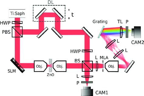 Experimental Setup A Femtosecond Tisapphire Laser Is Expanded Onto A Download Scientific