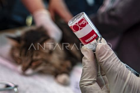 Hari Rabies Sedunia Antara Foto