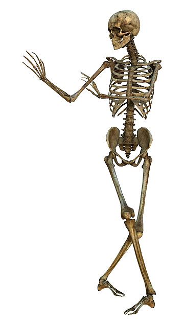 Relaxing Skeleton Bones Scary Human Photo Background And Picture For