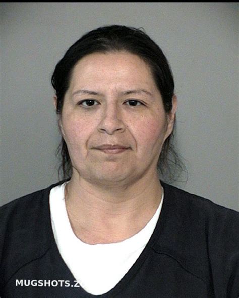 Hernandez Rachel Fort Bend County Mugshots Zone