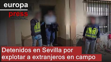 Quince Detenidos En Sevilla Por Explotar En El Campo Hasta La