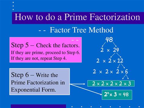 Prime Factorization Prime Numbers And Composite Numbers Ppt Download