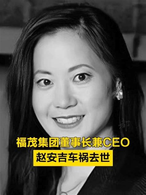 福茂集团董事长兼ceo赵安吉车祸去世车祸新浪新闻