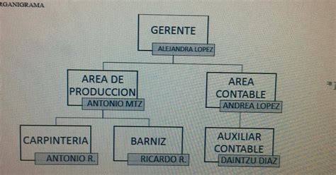 CARPINTERÍA MARTÍNEZ ORGANIGRAMA