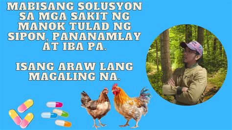 Mabisa At Murang Gamot O Solusyon Sa Mga Sakit Ng Manok Tulad Ng Sipon