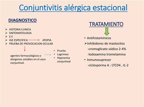 Conjuntivitis Alergica Ppt Descarga Gratuita