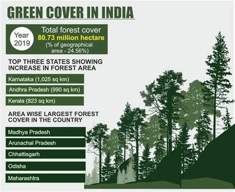 Indias Tree Forest Cover Increased By 5188 Sq Km Govt India Today