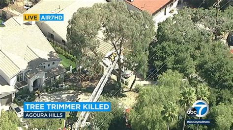 Tree Trimmer Apparently Crushed To Death In Agoura Hills Youtube