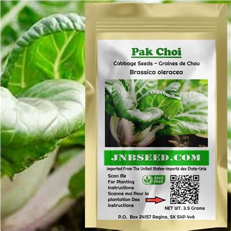 Pak Choi Seeds Pak Choy Seeds Heirloom Approx Seeds Gram